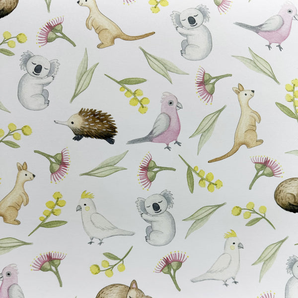 Wrapping Paper | Australian Animals | Nuovo Group