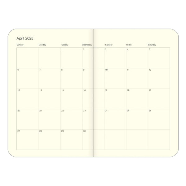 2025 Planner | Weekly | Wildflowers | Cavallini & Co.