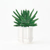 2026 3D Calendar | Green | Good Morning