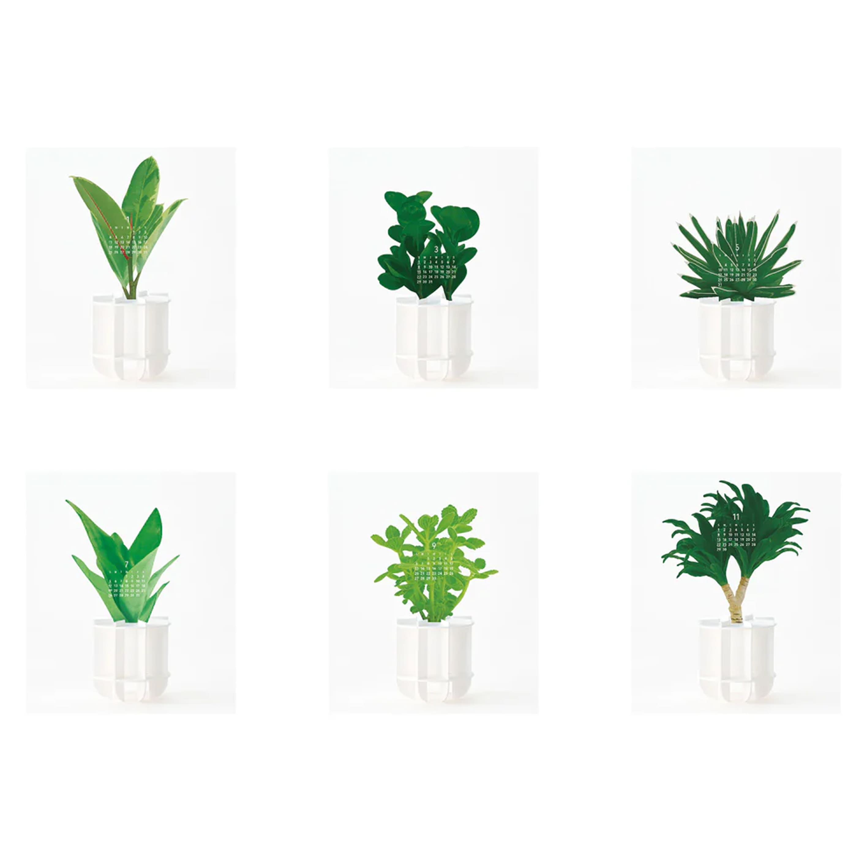 2026 3D Calendar | Green | Good Morning