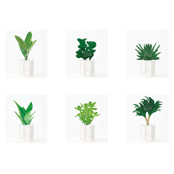 2026 3D Calendar | Green | Good Morning