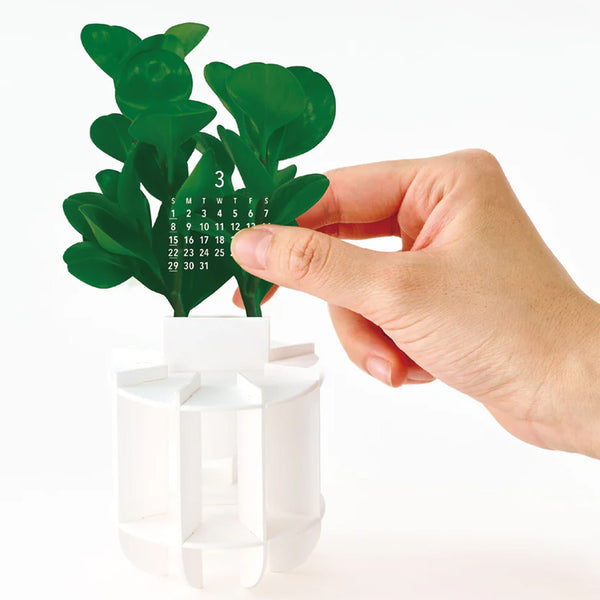2026 3D Calendar | Green | Good Morning