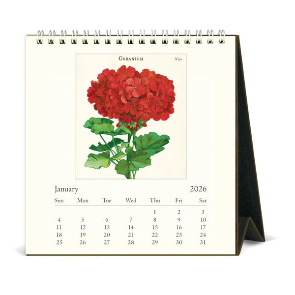 2026 Desk Calendar | Botanica | Cavallini & Co.