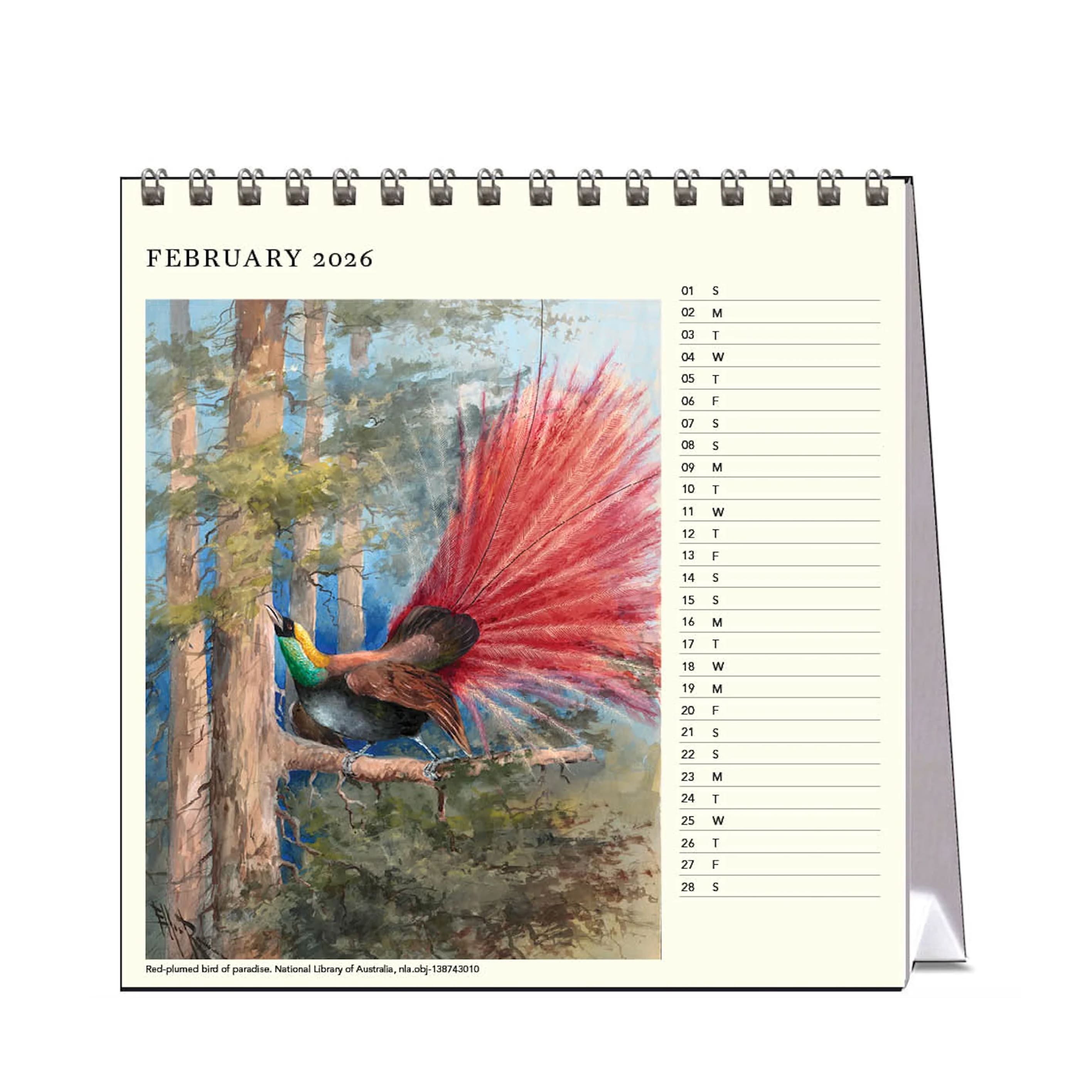 2026 Desk Calendar | Ellis Rowan Birds | Vevoke