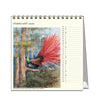 2026 Desk Calendar | Ellis Rowan Birds | Vevoke