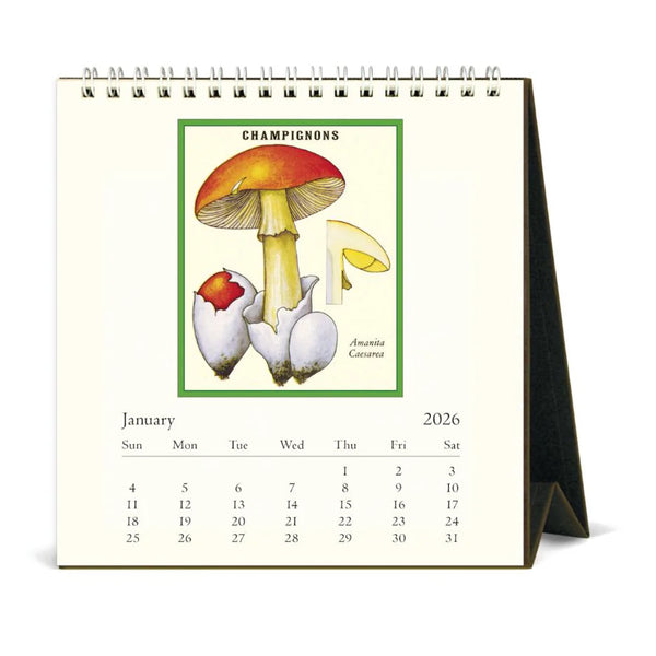 2026 Desk Calendar | Foraging | Cavallini & Co.