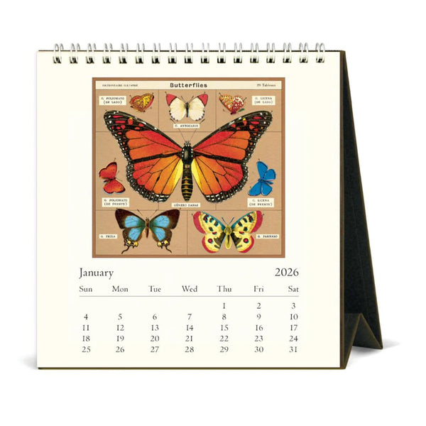 2026 Desk Calendar | Papillions | Cavallini & Co.