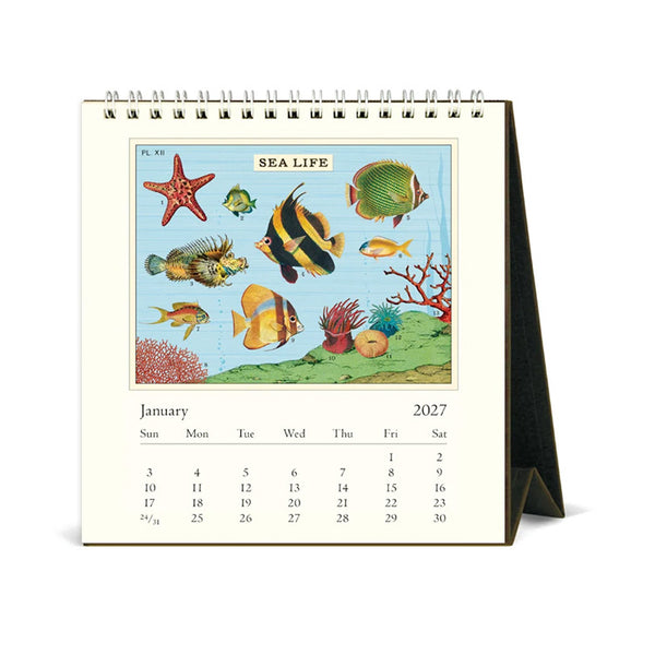 2027 Desk Calendar | Sea Life | Cavallini & Co.