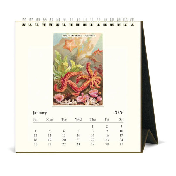 2026 Desk Calendar | Sea Life | Cavallini & Co.