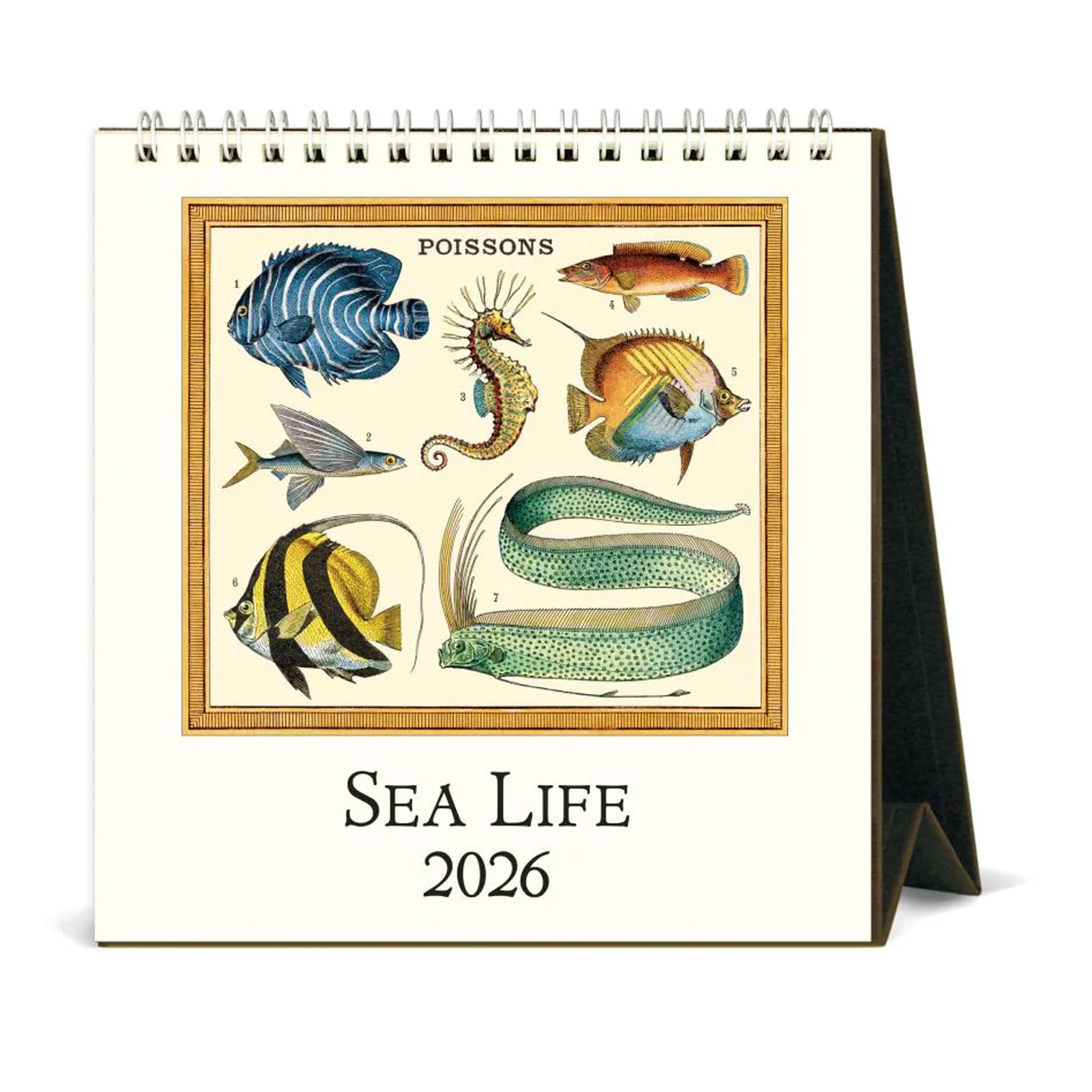2026 Desk Calendar | Sea Life | Cavallini & Co.