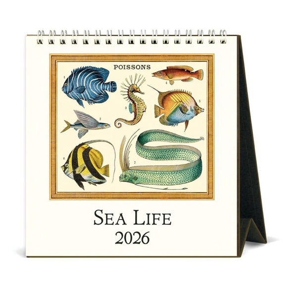 2026 Desk Calendar | Sea Life | Cavallini & Co.
