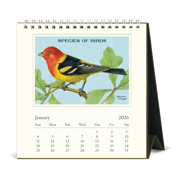 2026 Desk Calendar | Vintage Birds | Cavallini & Co.