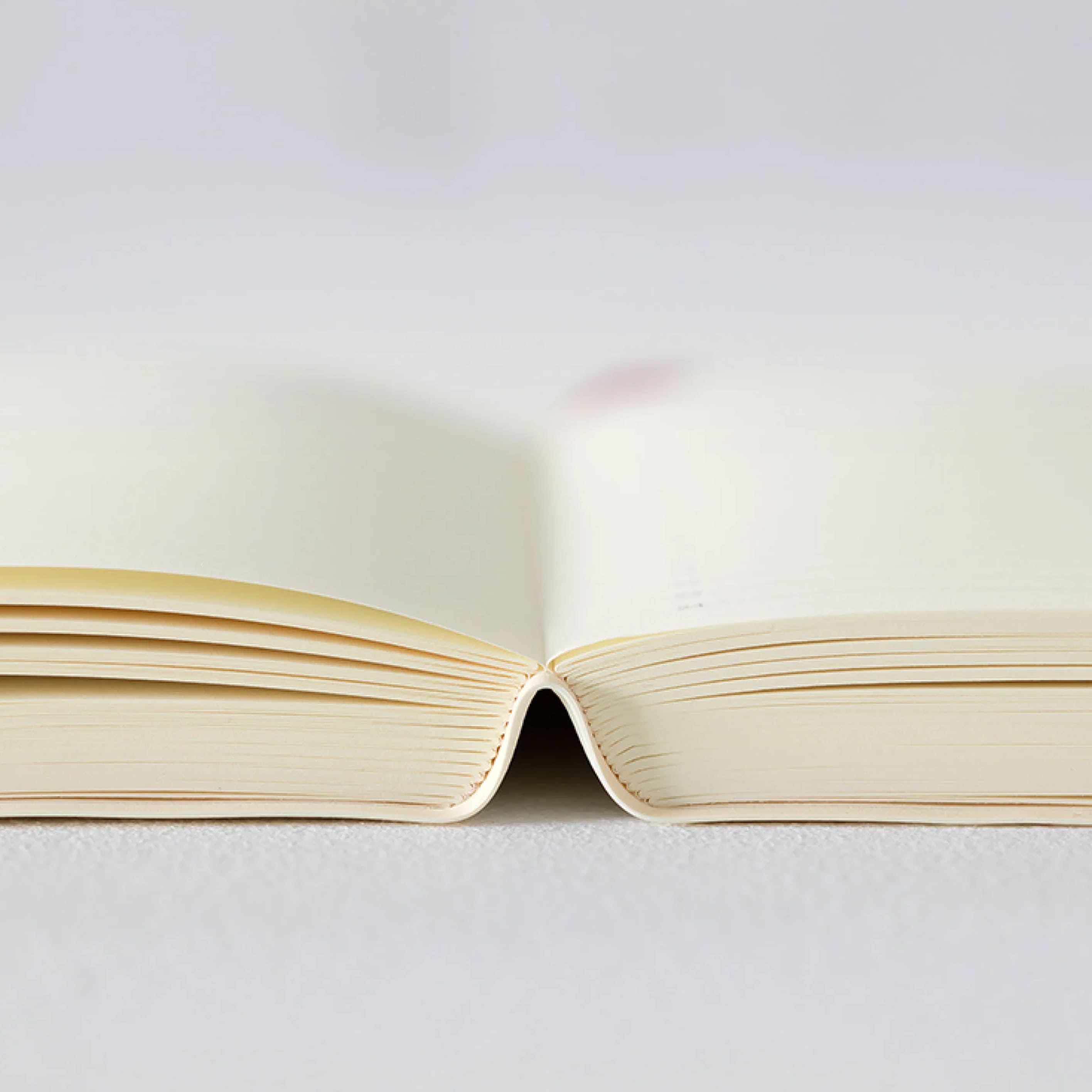 2026 Diary | 1 Day 1 Page | MD Paper | Midori | 2 SIZE OPTIONS AVAILABLE