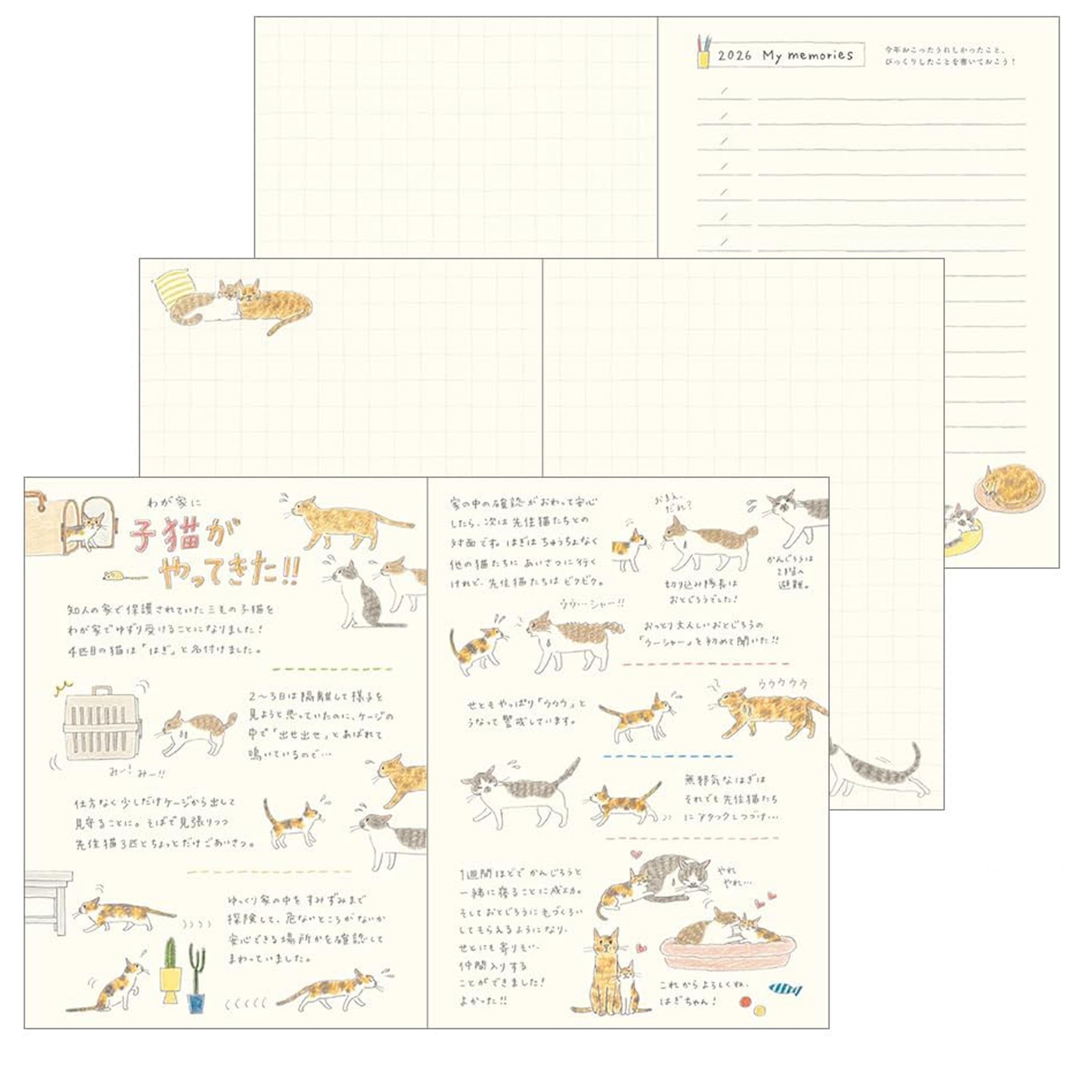 2026 Diary | Pocket Diary | Cats | Midori | 3 SIZE OPTIONS AVAILABLE