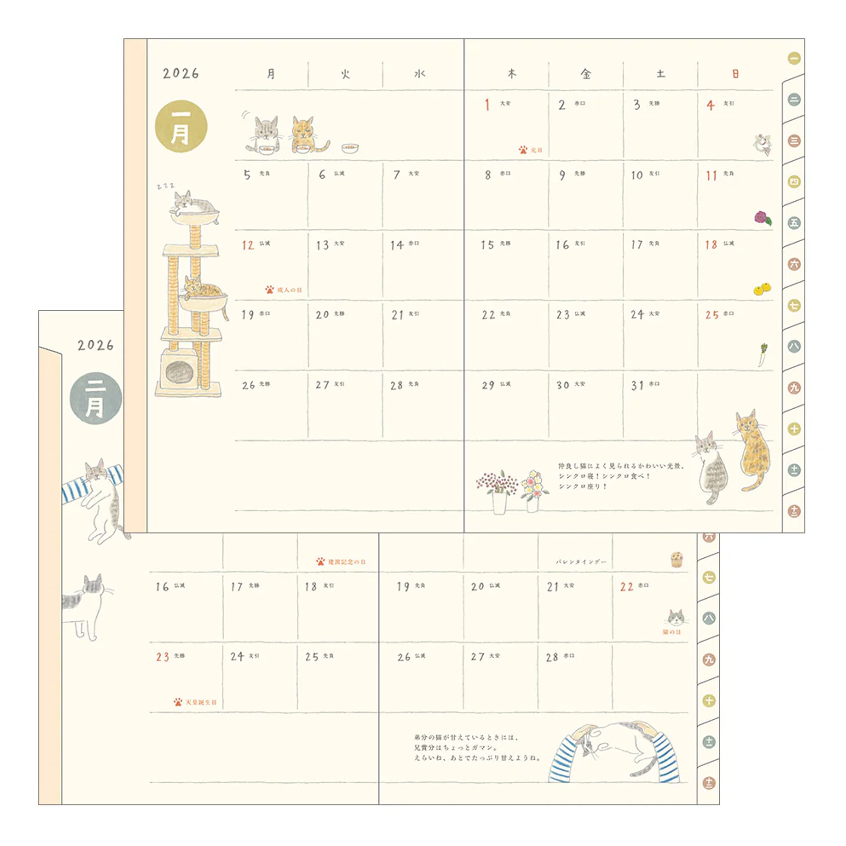 2026 Diary | Pocket Diary | Cats | Midori | 3 SIZE OPTIONS AVAILABLE