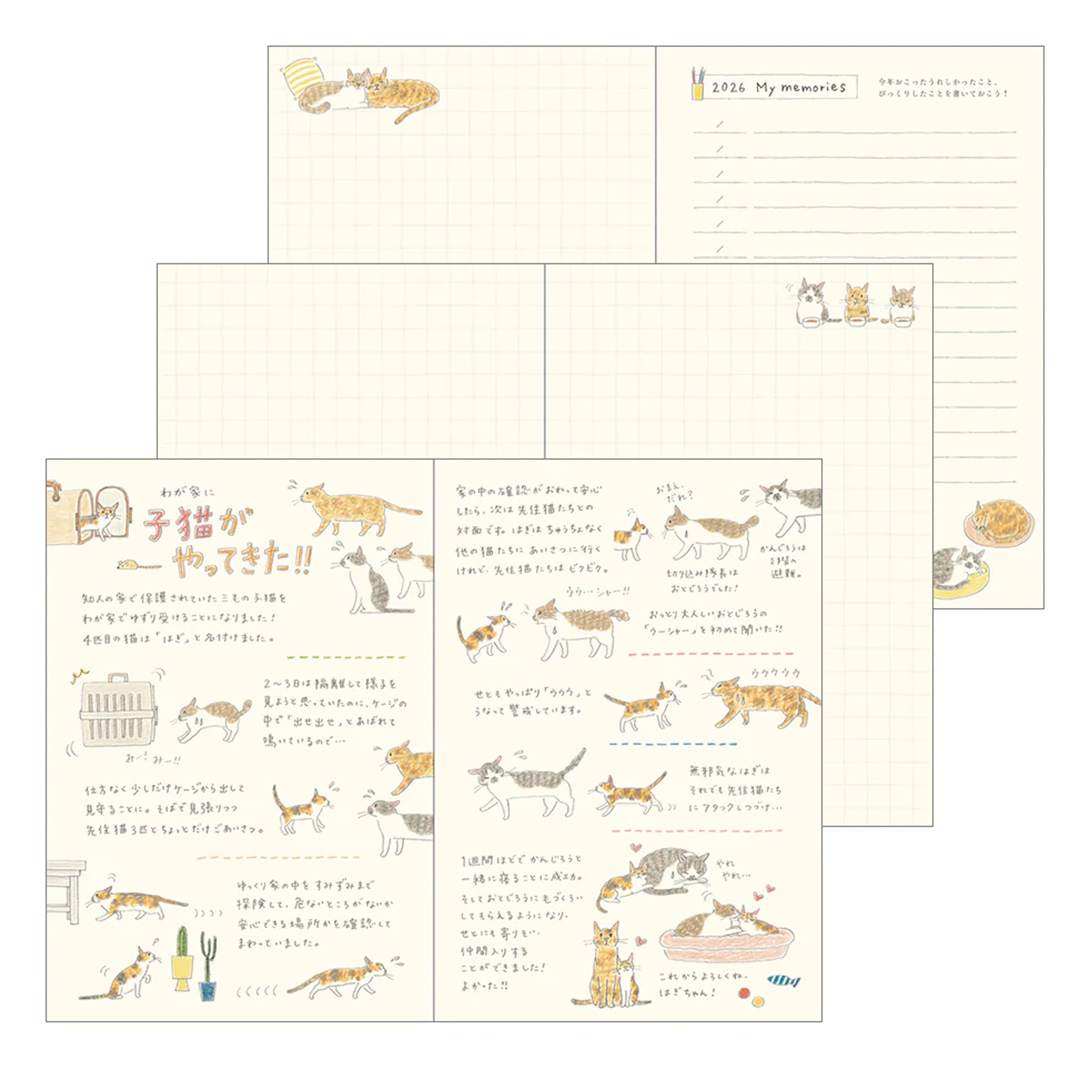 2026 Diary | Pocket Diary | Cats | Midori | 3 SIZE OPTIONS AVAILABLE