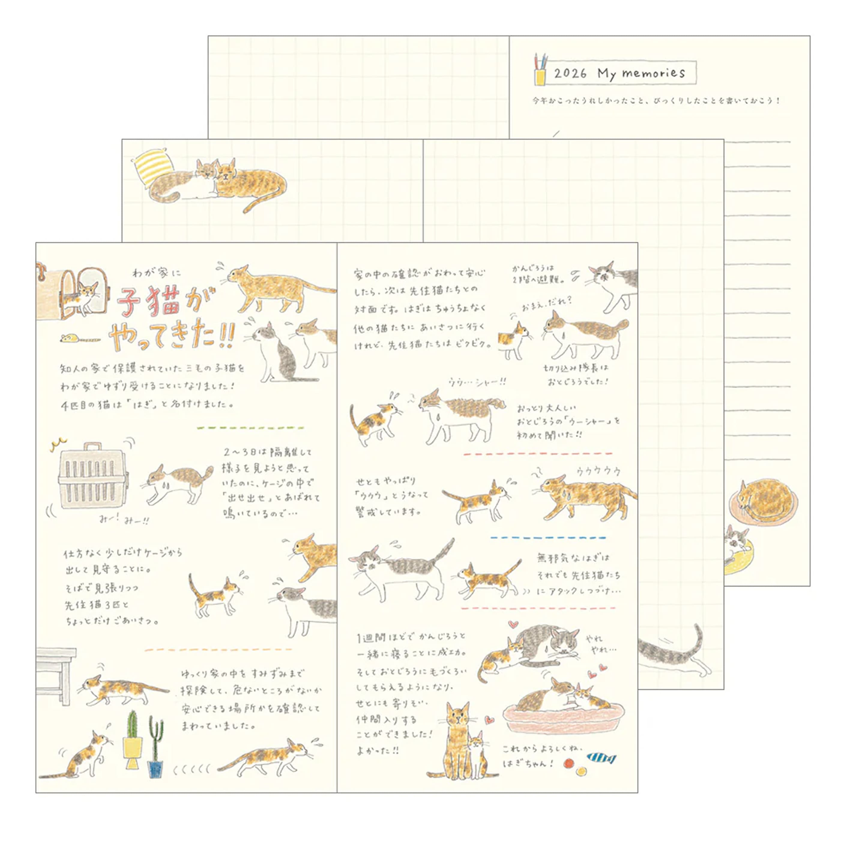 2026 Diary | Pocket Diary | Cats | Midori | 3 SIZE OPTIONS AVAILABLE