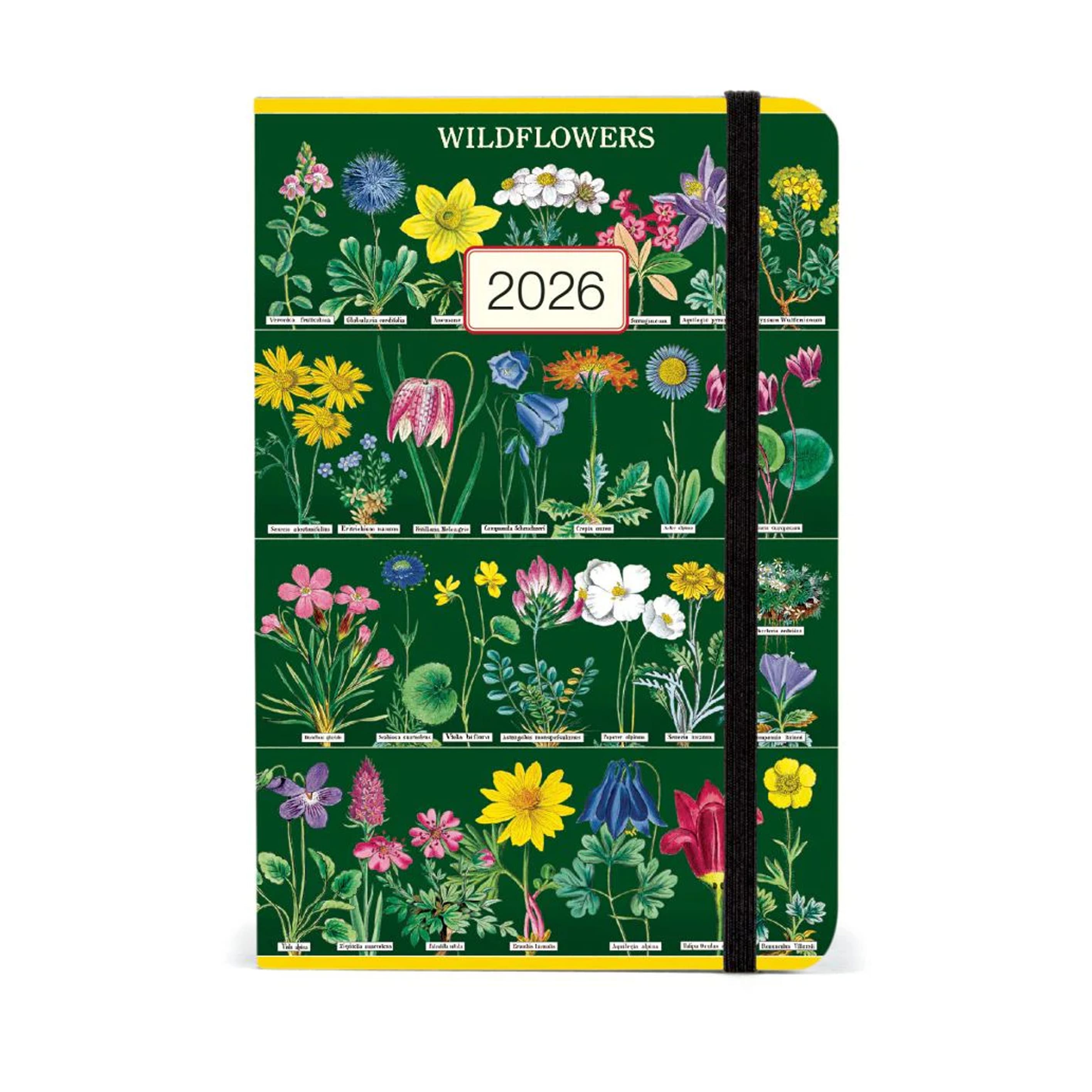 2026 Diary | Planner | Wildflowers | Cavallini & Co.
