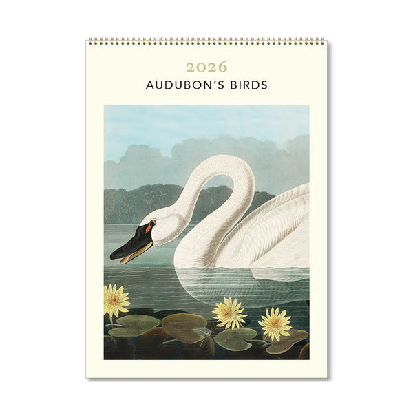 2026 Wall Calendar | Audubon's Birds | Vevoke