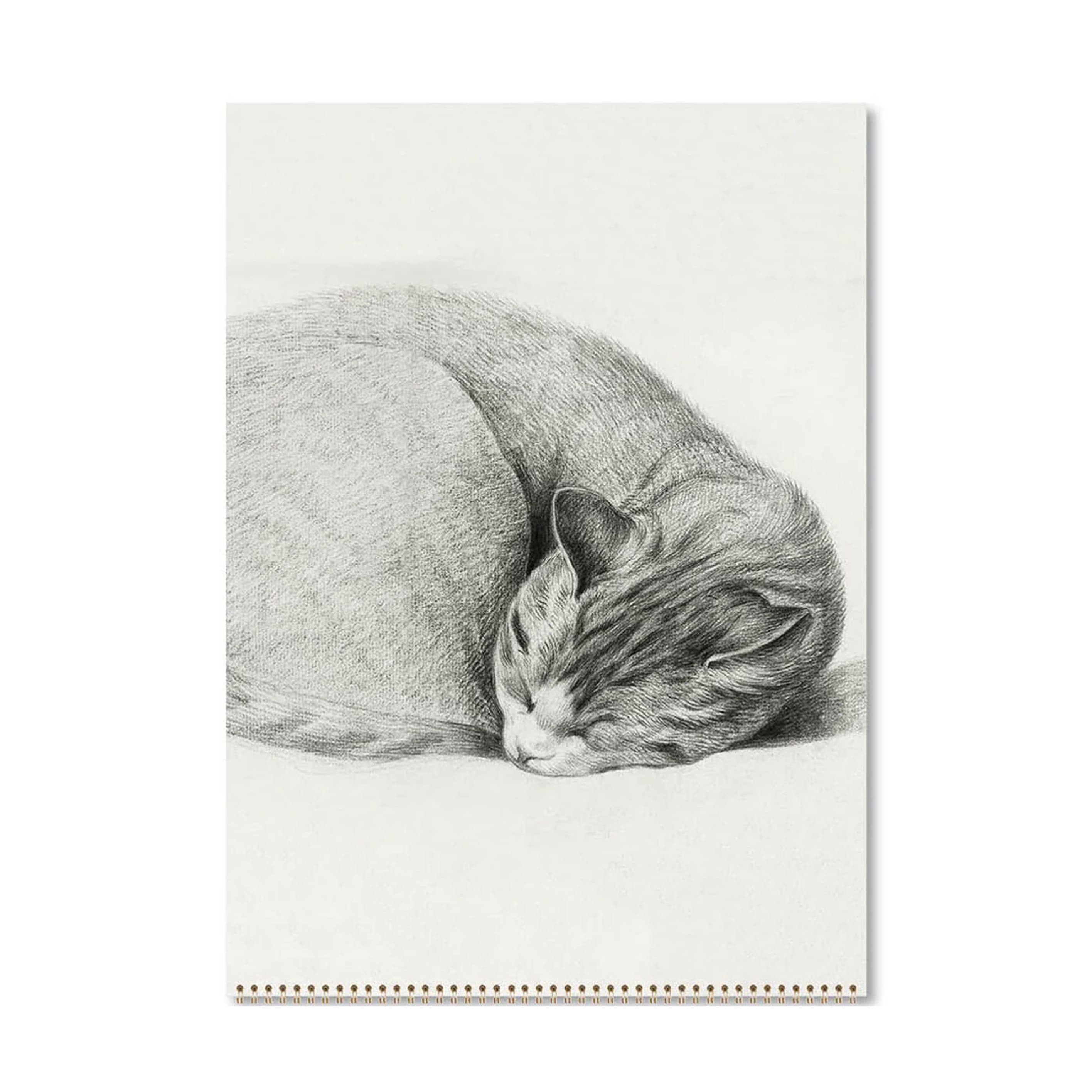 2026 Wall Calendar | Cat Drawings | Vevoke