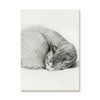 2026 Wall Calendar | Cat Drawings | Vevoke