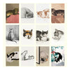 2026 Wall Calendar | Cat Drawings | Vevoke