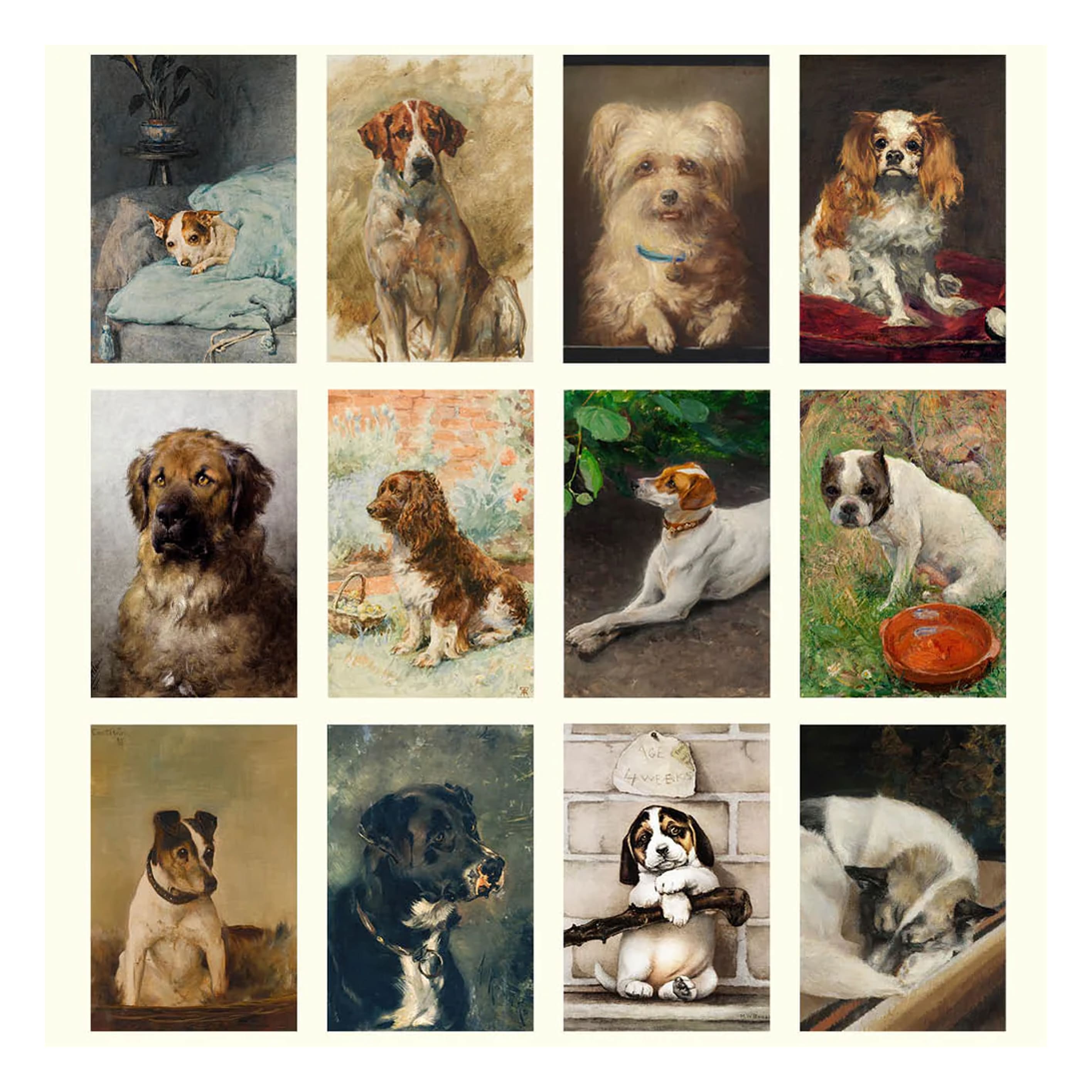 2026 Wall Calendar | Dogs | Vevoke