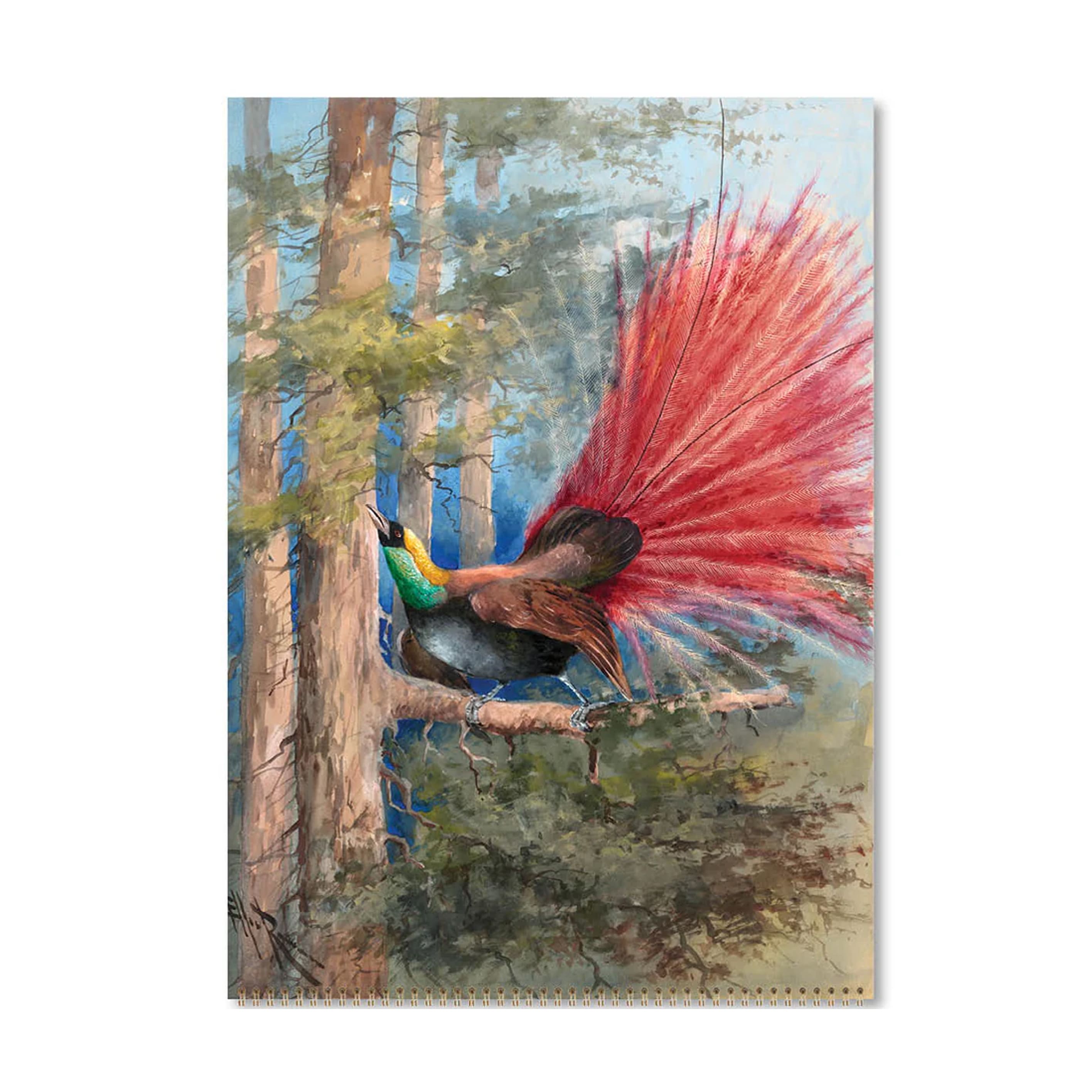 2026 Wall Calendar | Ellis Rowan Birds | Vevoke