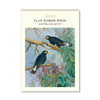 2026 Wall Calendar | Ellis Rowan Birds | Vevoke