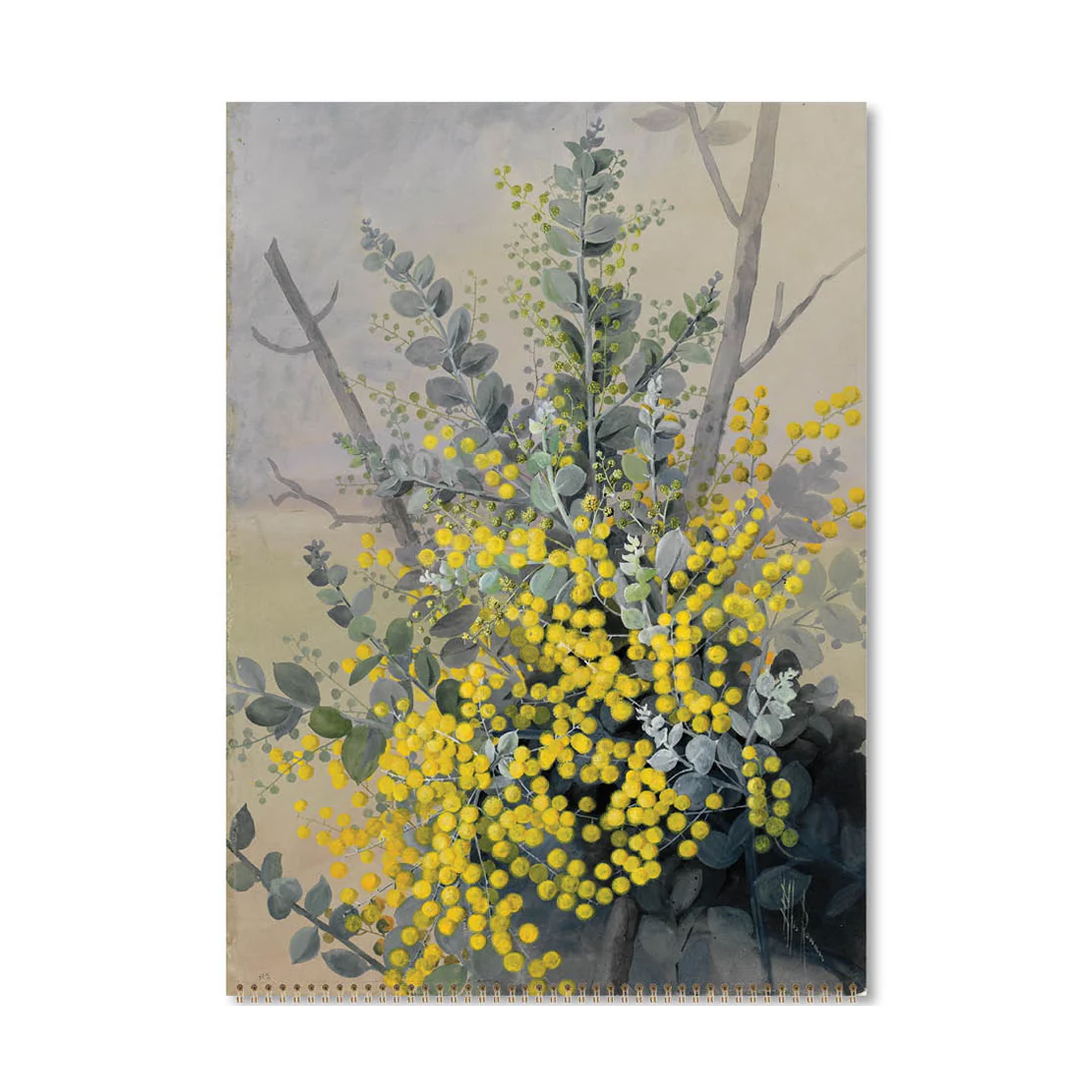 2026 Wall Calendar | Ellis Rowan Flowers | Vevoke
