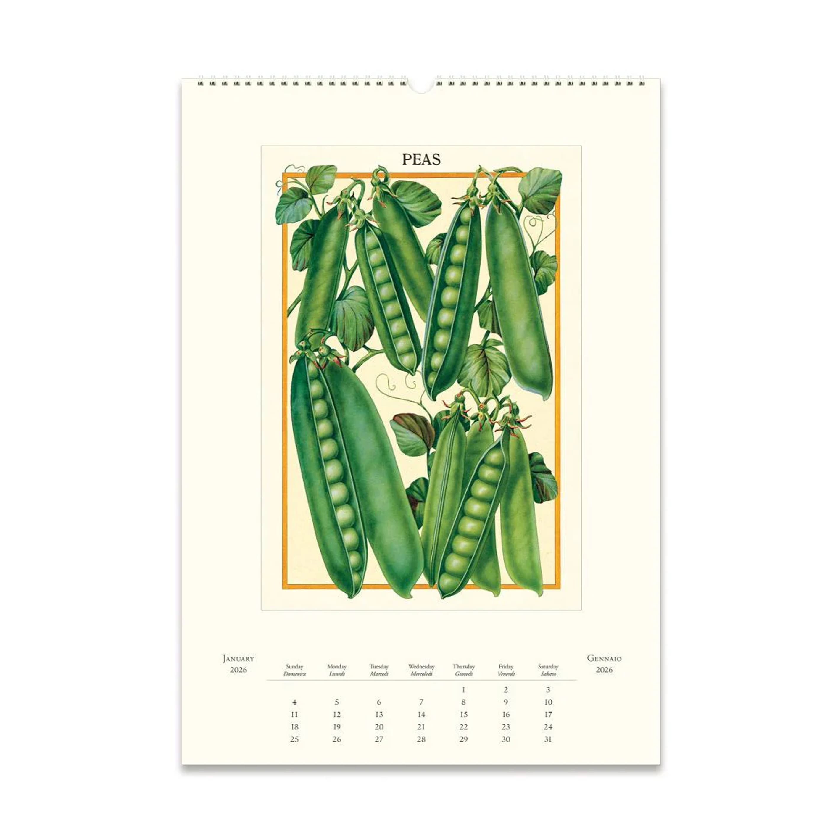 2026 Wall Calendar | Farmer's Market | Cavallini & Co.