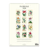 2026 Wall Calendar | Floreale | Cavallini & Co.