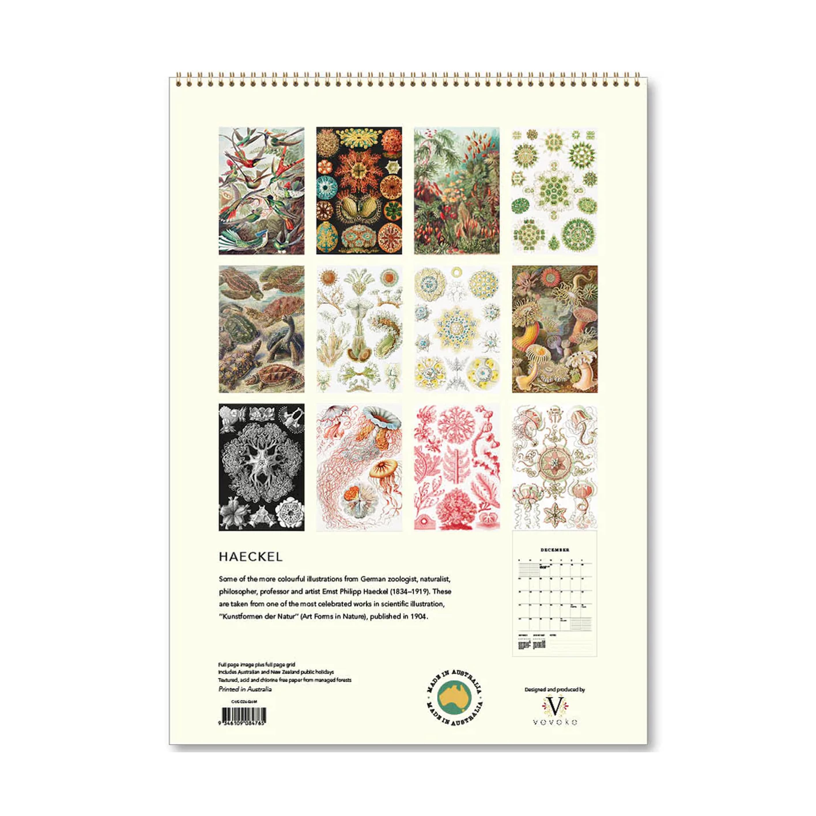 2026 Wall Calendar | Haeckel | Vevoke