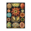 2026 Wall Calendar | Haeckel | Vevoke