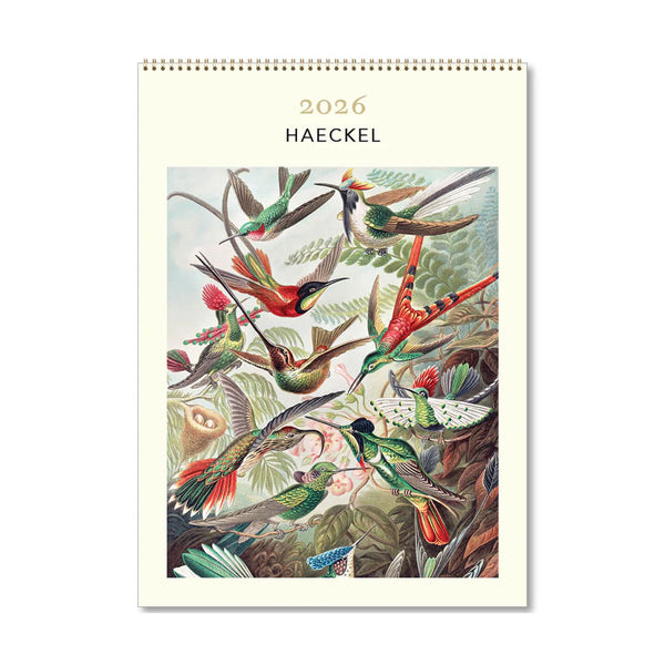 2026 Wall Calendar | Haeckel | Vevoke