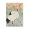2026 Wall Calendar | Japanese Birds | Vevoke
