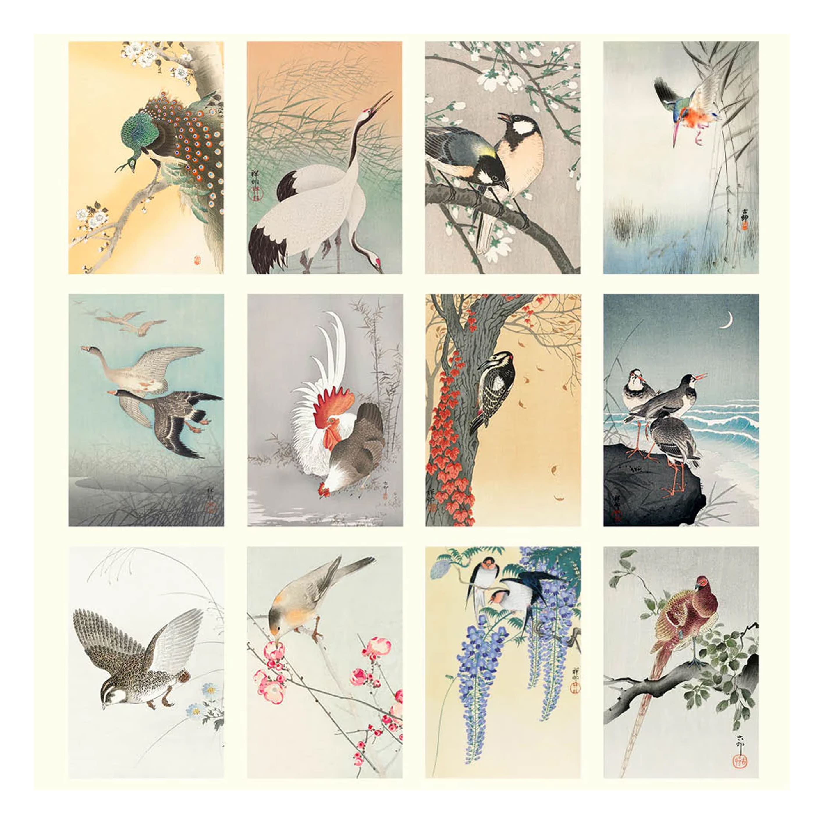 2026 Wall Calendar | Japanese Birds | Vevoke