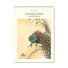 2026 Wall Calendar | Japanese Birds | Vevoke
