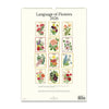 2026 Wall Calendar | Language Of Flowers | Cavallini & Co.