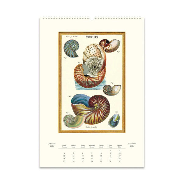 2026 Wall Calendar | Sea Life | Cavallini & Co.