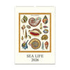 2026 Wall Calendar | Sea Life | Cavallini & Co.