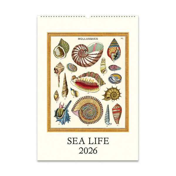 2026 Wall Calendar | Sea Life | Cavallini & Co.