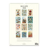 2026 Wall Calendar | Sea Life | Cavallini & Co.