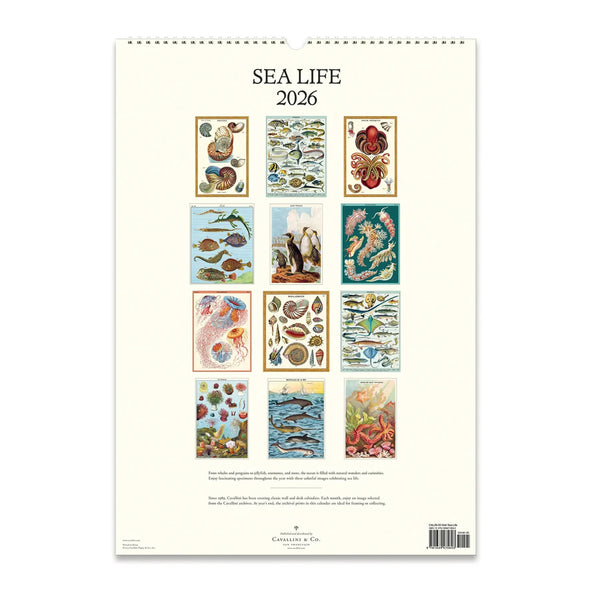 2026 Wall Calendar | Sea Life | Cavallini & Co.