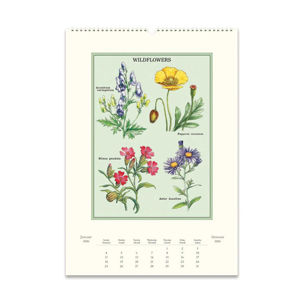 2026 Wall Calendar | Wildflowers | Cavallini & Co.