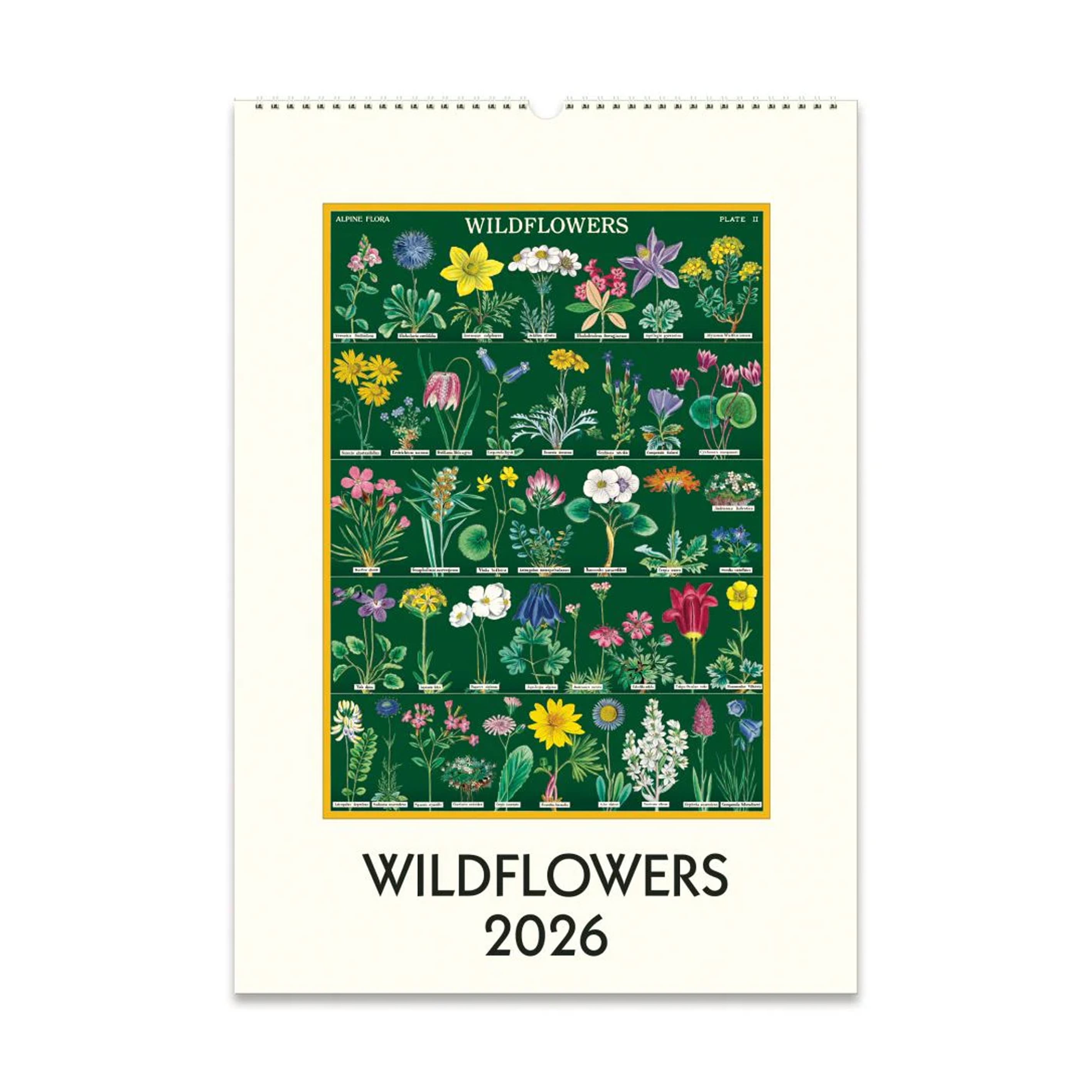 2026 Wall Calendar | Wildflowers | Cavallini & Co.