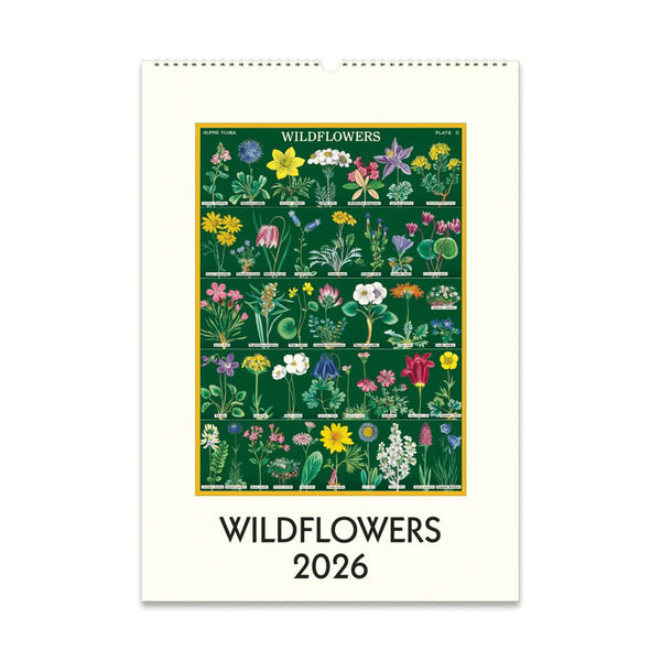 2026 Wall Calendar | Wildflowers | Cavallini & Co.