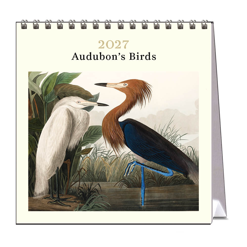 2027 Desk Calendar | Audubon's Birds | Vevoke