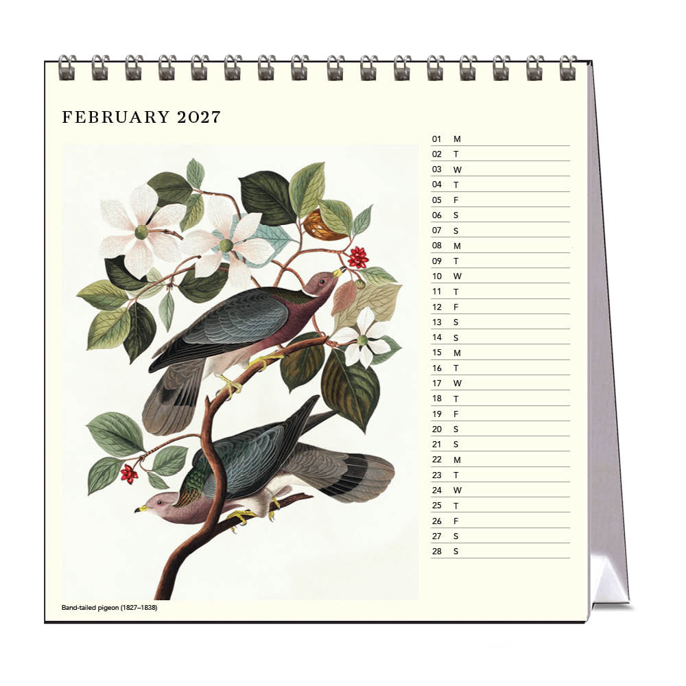 2027 Desk Calendar | Audubon's Birds | Vevoke