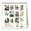 2027 Desk Calendar | Audubon's Birds | Vevoke